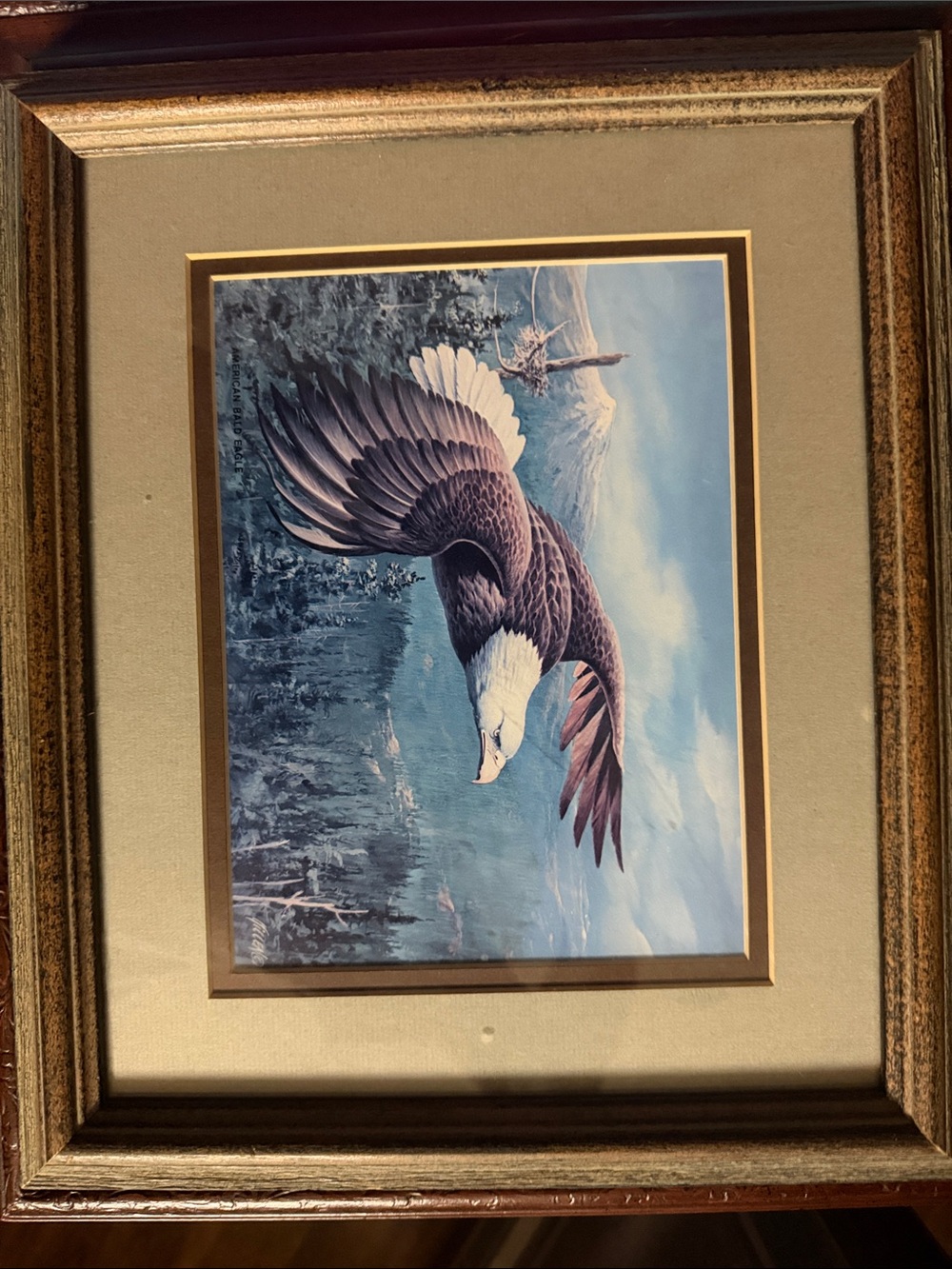 Framed Eagle Wall Art Print in Blue and Brown
